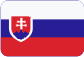 Zpracování účetnictví v České republice Slovensky